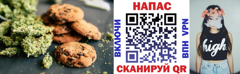 купить наркоту  Киреевск  МЕГА ONION  Canna-Cookies марихуана 