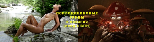 Альфа ПВП Новодвинск
