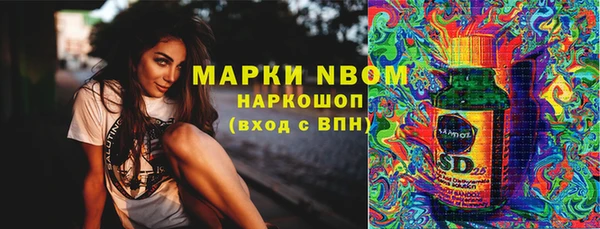Альфа ПВП Новодвинск
