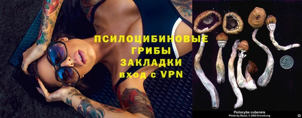 Альфа ПВП Новодвинск
