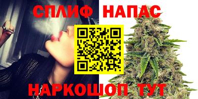 хмурый Будённовск