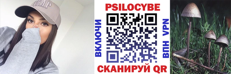 продажа наркотиков  Киреевск  Галлюциногенные грибы Psilocybe 