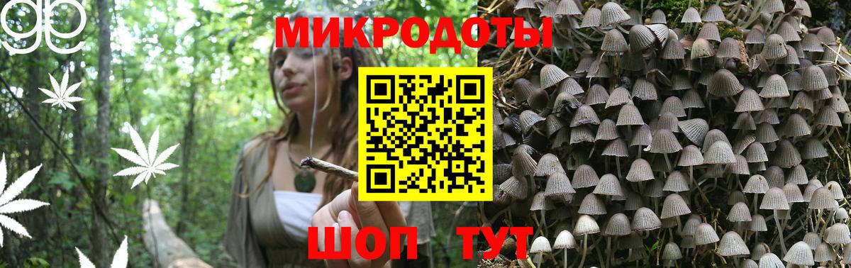 Псилоцибиновые грибы мицелий  Вход с VPN  Псилоцибиновые грибы GOLDEN TEACHER  Киреевск 