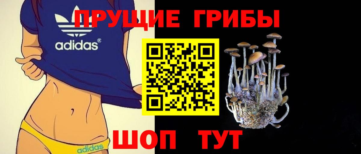 Галлюциногенные грибы Cubensis Киреевск