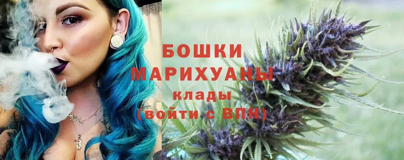 Конопля SATIVA & INDICA  цена   Киреевск 